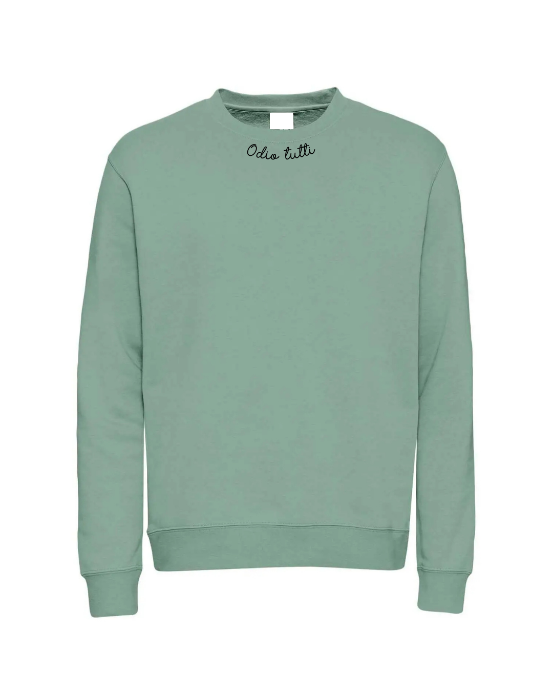 Felpa ricamata "dillo con un ricamo" Sage green